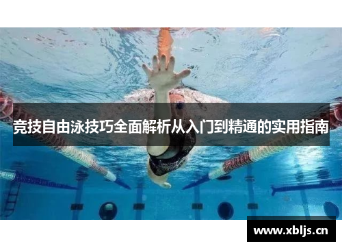 竞技自由泳技巧全面解析从入门到精通的实用指南